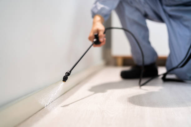 Licensed Fumigation Services service in Panola County County, TX - Nex Pest Control